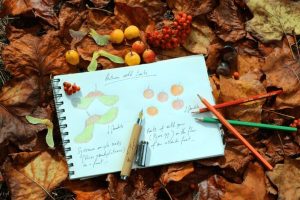 Anotimpurile în engleză – metode eficiente și distractive de învățare