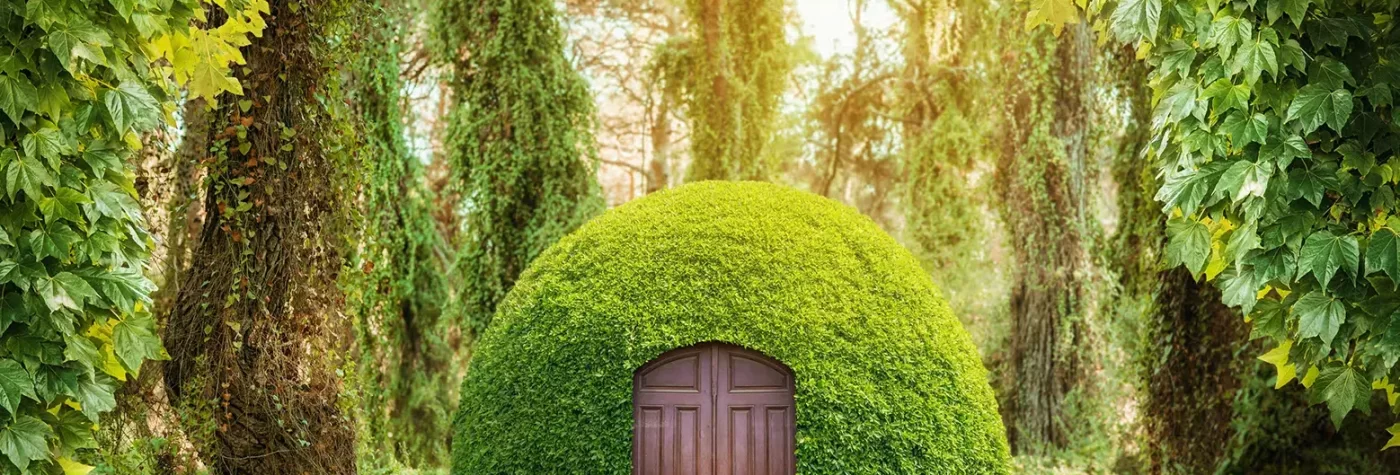 Copie a Programe de vara 2025 10