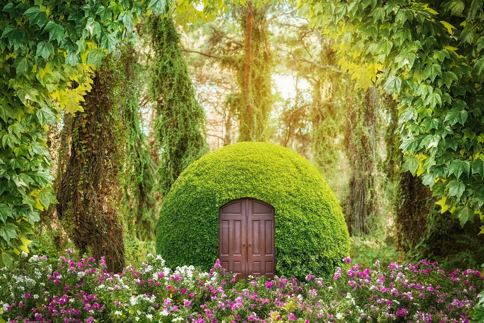 Engleza Copii Cursuri EKA