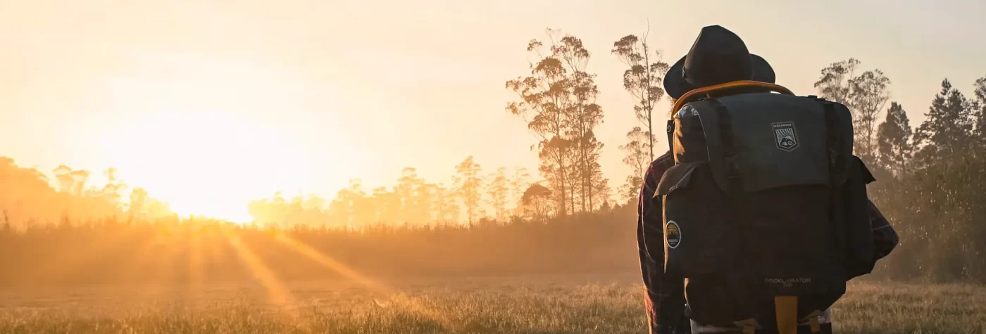 Copie a Programe de vara 2025 12 15